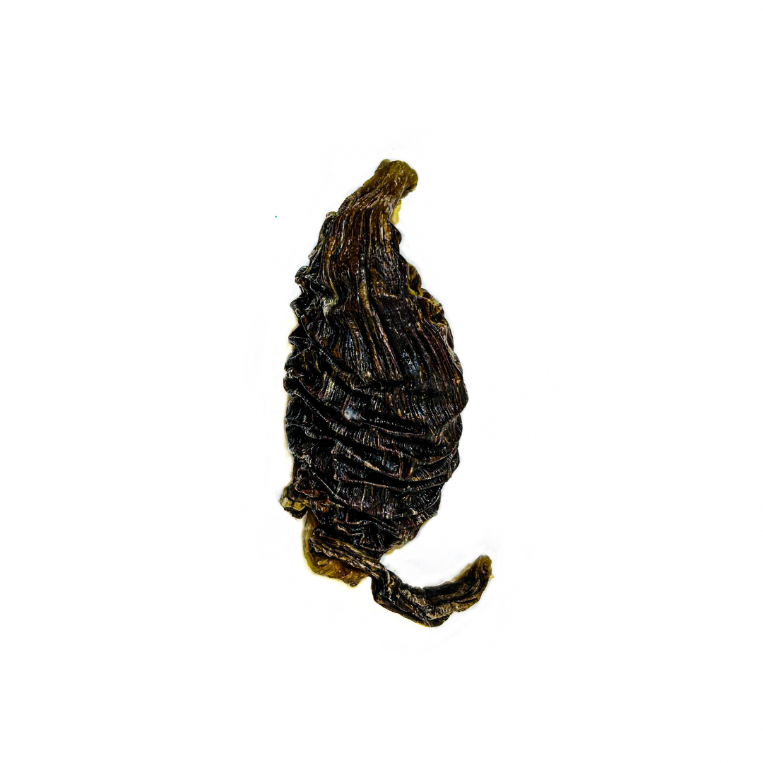 Dehydrated Buffalo Shank