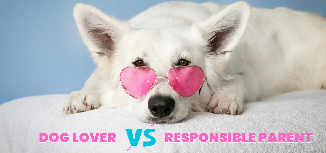Why are pet parents preferring natural treats over highly processed treats for dogs?