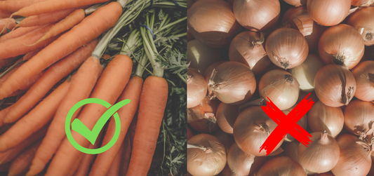 What vegetables & Fruits can you feed your dog?
