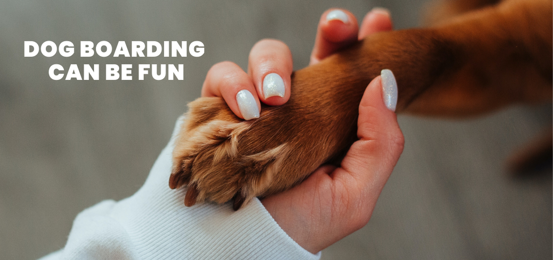 Things to keep in mind when giving your dog at the boarding centre?