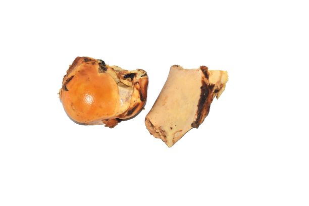 Dehydrated Buffalo Bone small