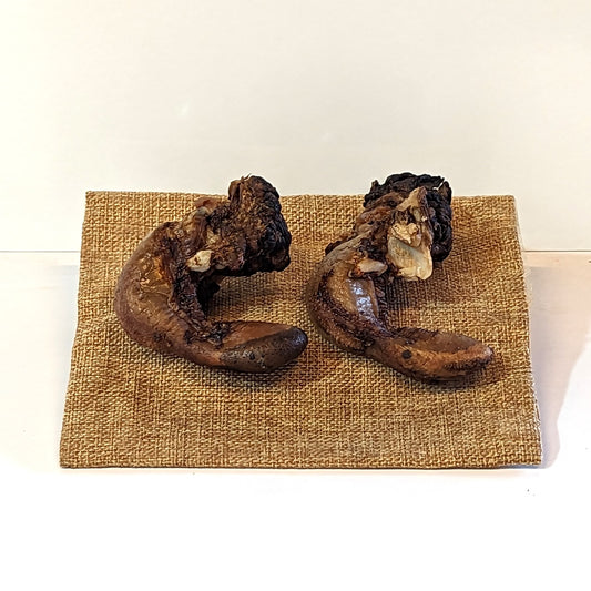 Happy Doggo Dehydrated Lamb Tongue Dog Treats-Happy Doggo